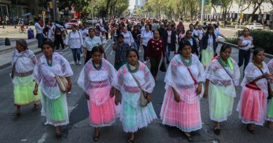 Persiste brecha para aplicar marcos jurídicos a favor de indígenas: Renitli